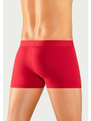 Bekleidung H.I.S Boxer In Grau-meliert, Schwarz, Navy, Rot, Blau Günstig Kaufen 3 Bekleidung H.I.S Boxer In Grau-meliert, Schwarz, Navy, Rot, Blau Günstig Kaufen – Bild 3