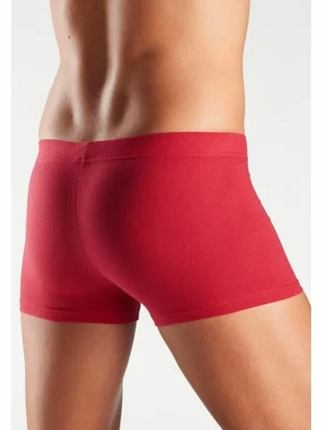 Bekleidung H.I.S Boxer In Rot, Blau, Marine, Khaki, Grau-meliert Günstig Kaufen 6 Bekleidung H.I.S Boxer In Rot, Blau, Marine, Khaki, Grau-meliert Günstig Kaufen – Bild 6