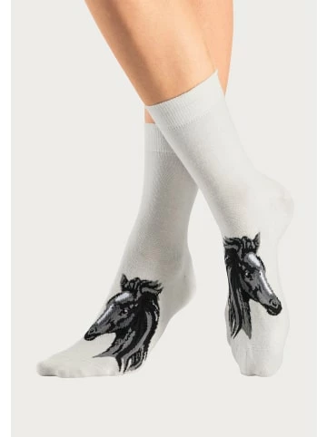 Bekleidung H.I.S Socken In 1x Rust, 1x Stone, 1x Beige, 1x Ecru, 1x Rotbraun Günstig Kaufen 2 Bekleidung H.I.S Socken In 1x Rust, 1x Stone, 1x Beige, 1x Ecru, 1x Rotbraun Günstig Kaufen – Bild 2