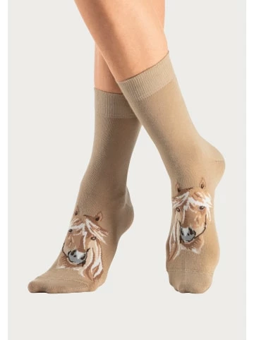 Bekleidung H.I.S Socken In 1x Rust, 1x Stone, 1x Beige, 1x Ecru, 1x Rotbraun Günstig Kaufen 3 Bekleidung H.I.S Socken In 1x Rust, 1x Stone, 1x Beige, 1x Ecru, 1x Rotbraun Günstig Kaufen – Bild 3