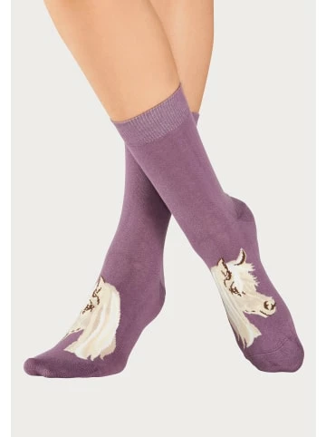 Bekleidung H.I.S Socken In 1x Rust, 1x Stone, 1x Beige, 1x Ecru, 1x Rotbraun Günstig Kaufen 5 Bekleidung H.I.S Socken In 1x Rust, 1x Stone, 1x Beige, 1x Ecru, 1x Rotbraun Günstig Kaufen – Bild 5